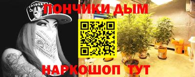 прущие грибы Апшеронск