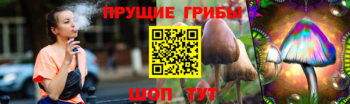 Бор  Псилоцибиновые грибы Cubensis  Вход с VPN 